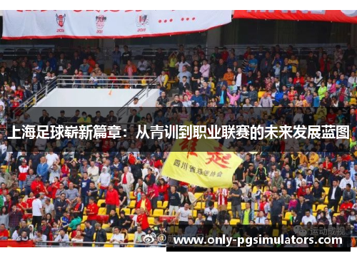 上海足球崭新篇章：从青训到职业联赛的未来发展蓝图