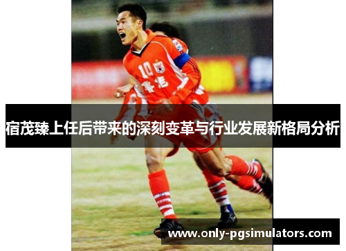 宿茂臻上任后带来的深刻变革与行业发展新格局分析