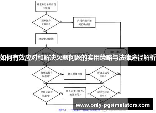 如何有效应对和解决欠薪问题的实用策略与法律途径解析