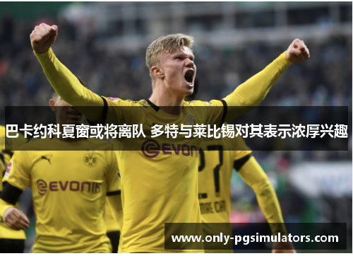 巴卡约科夏窗或将离队 多特与莱比锡对其表示浓厚兴趣