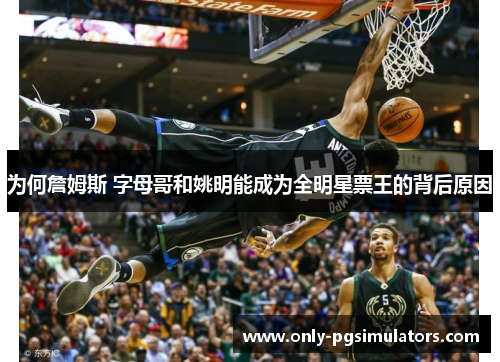 为何詹姆斯 字母哥和姚明能成为全明星票王的背后原因