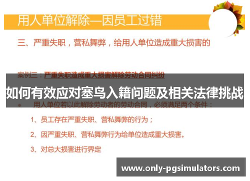 如何有效应对塞鸟入籍问题及相关法律挑战
