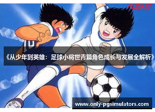 《从少年到英雄：足球小将世青篇角色成长与发展全解析》