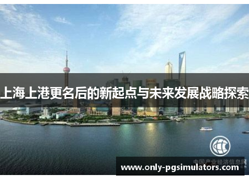 上海上港更名后的新起点与未来发展战略探索