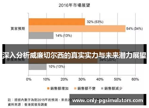 深入分析威廉切尔西的真实实力与未来潜力展望