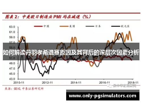 如何解读丹羽孝希退赛原因及其背后的深层次因素分析