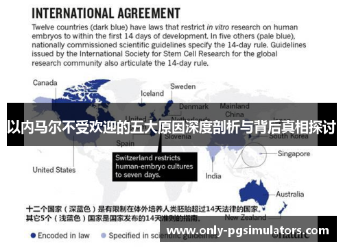 以内马尔不受欢迎的五大原因深度剖析与背后真相探讨