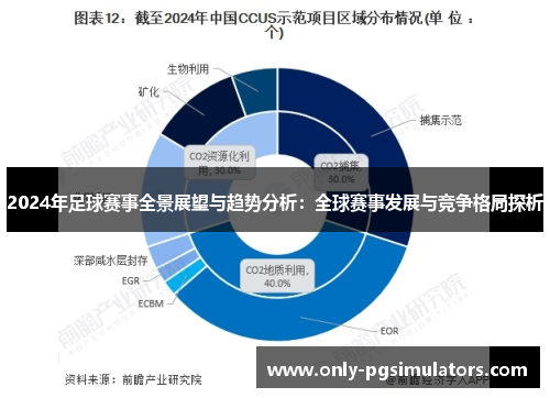2024年足球赛事全景展望与趋势分析：全球赛事发展与竞争格局探析