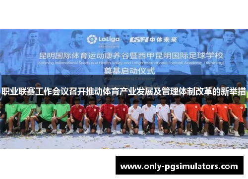 职业联赛工作会议召开推动体育产业发展及管理体制改革的新举措