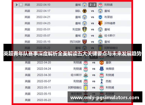 英超青年队赛事深度解析全面解读五大关键要点与未来发展趋势
