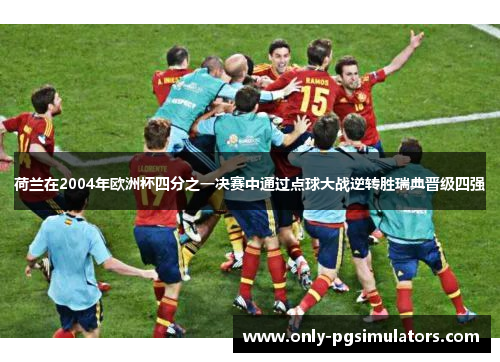 荷兰在2004年欧洲杯四分之一决赛中通过点球大战逆转胜瑞典晋级四强