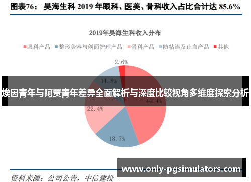 埃因青年与阿贾青年差异全面解析与深度比较视角多维度探索分析