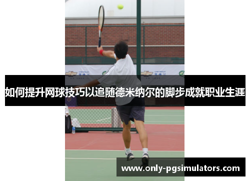 如何提升网球技巧以追随德米纳尔的脚步成就职业生涯